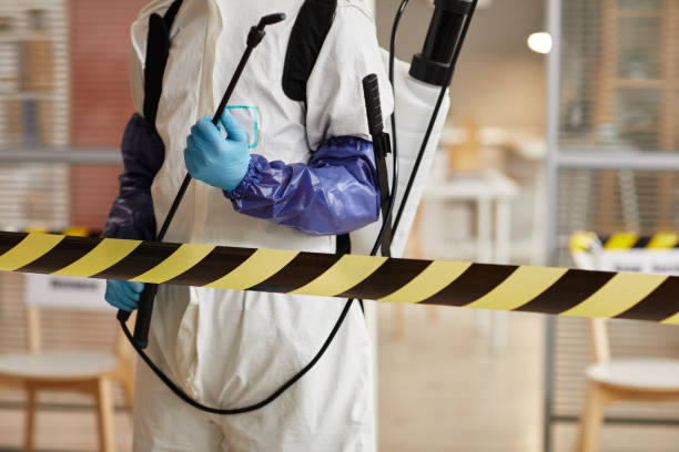 Professional Infectious Disease Decontamination technician working in Stonewall, TX